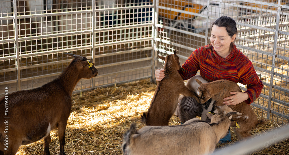 Εκτύπωση καμβά Portrait of cheerful casual adult woman playing with cute goatlings in petting zoo stall on sunny day