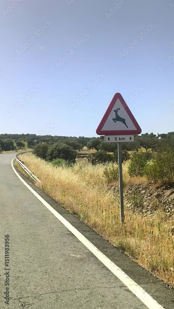 Señal de tráfico peligro animales salvajes en carretera 