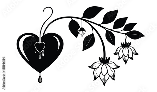 Bleeding heart plant with black leaves illustration