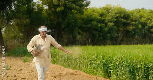Indian old age senior man walking hold bucket do fertilizing work outdoor farmland asian gen x farmer male wear traditional dress using spreading organic fertilizer powder outside photo