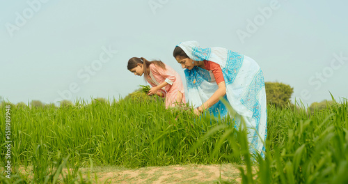 Принти на полотні Indian young adult farmer woman lady with teen age girl working cleaning grass l