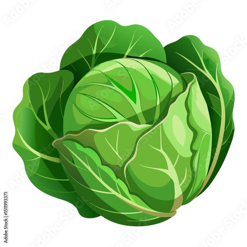 Cauliflower Isolated On White Background
