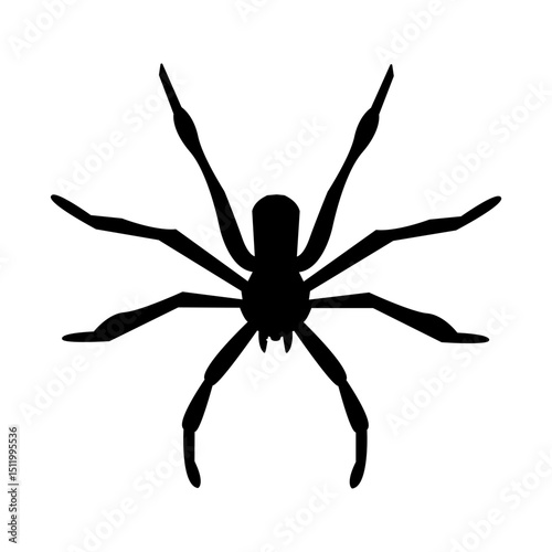 Spider icon
