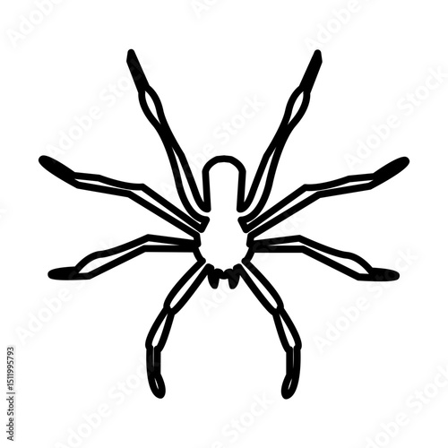 Spider icon