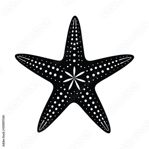 Starfish sea life ocean animal silhouette on white background