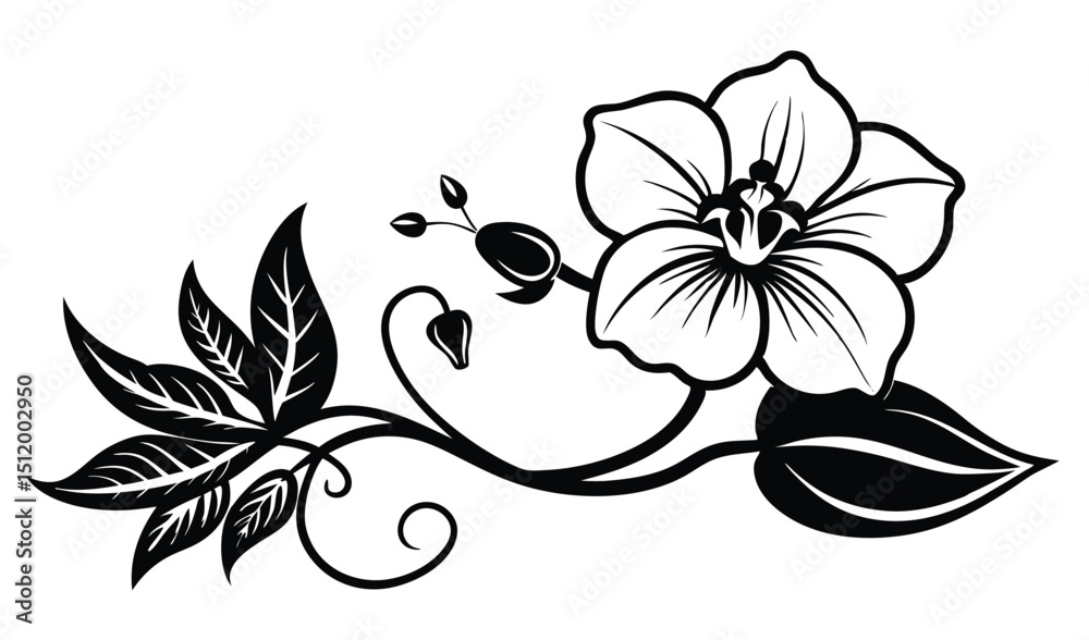 Elegant black and white floral design element Elegant black and white floral design element