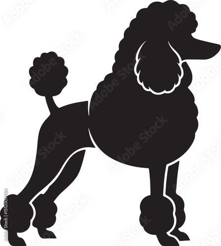 Elegant Black Poodle Silhouette Standing with a Proud and Distinguished Posture