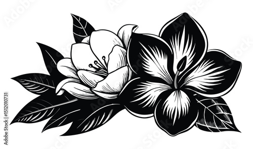 Black and white floral illustration two flowers