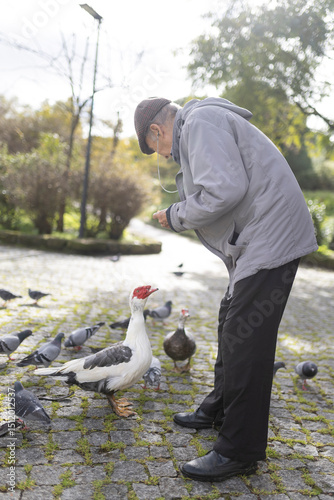 Elderly man feeding birds in a park
