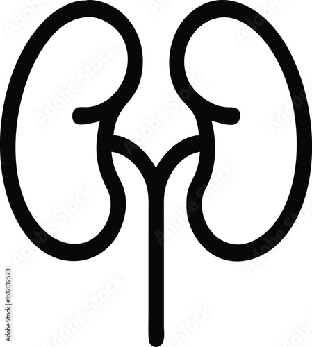 Kidneys Icon, Renal System Symbol, Human Organ Graphic