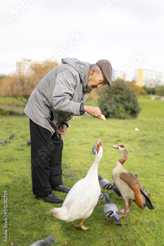 Elderly man feeding ducks and pigeons in a city park