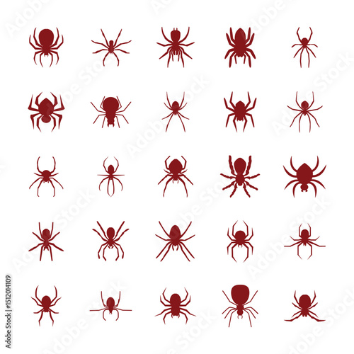 Spider icon