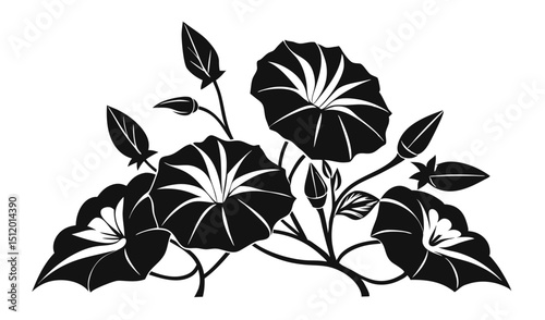 Black and white silhouette of morning glory flowers