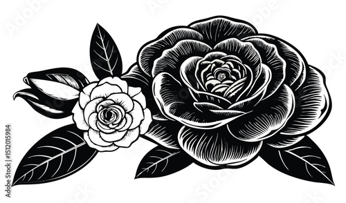 Black and white vintage rose flower illustration