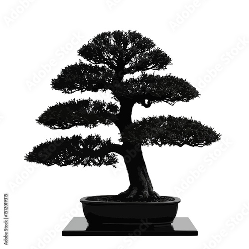Perfect Bonsai Silhouette: Formal Upright, Balanced Form on White