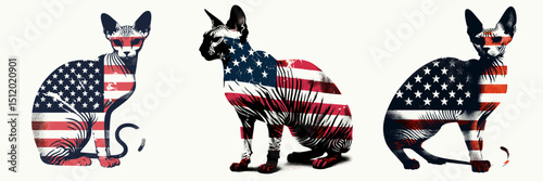 Sphynx Cat. 4th of July Independence Day American Flag Patriotism Usa America Clipart Vector Illustration. Hairless feline breed info naked kitty care temperament and adoption guide.