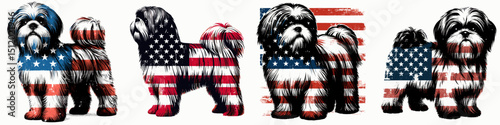 Shih Tzu Dog. 4th of July Independence Day American Flag Patriotism Usa America Clipart Vector Illustration. Fluffy companion canine little lion breed thorough info care trait.