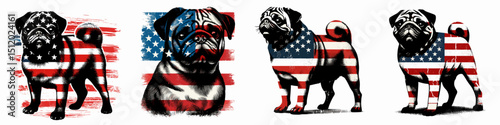 Pug Dog. 4th of July Independence Day American Flag Patriotism Usa America Clipart Vector Illustration. Lovable canine buddy  info on breed temperament care training.
