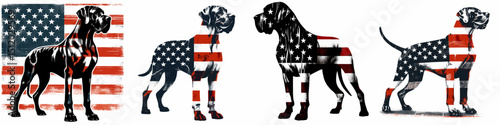 Great Dane Dog. 4th of July Independence Day American Flag Patriotism Usa America Clipart Vector Illustration. Large harlequin canine breed giant domestic pet gentle companion animal.