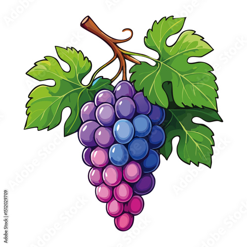 Bunch of grapes vector floral illustration. Image of summer fruits and leaves on isolated background. Raw materials for wine and juice