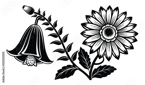 Black and white floral illustration with bellflower and daisy