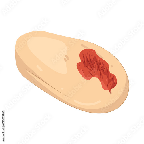 Illustration of wound
