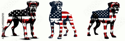 Boxer Dog. 4th of July Independence Day American Flag Patriotism Usa America Clipart Vector Illustration. Athletic canine breed care temperament portrait info about this pet.