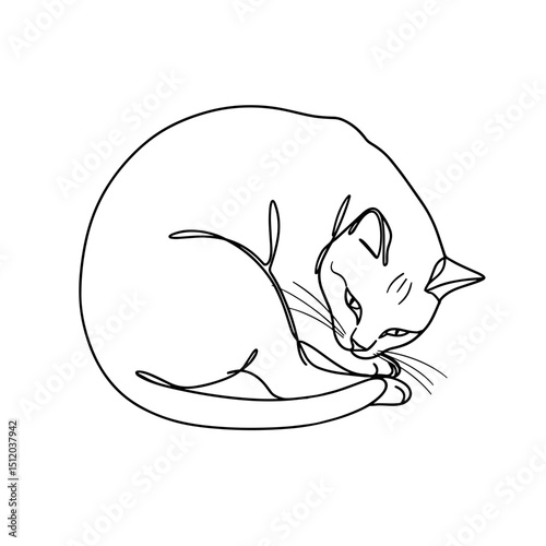 Vector illustration of a curled cat in a resting position using line art style and copy space