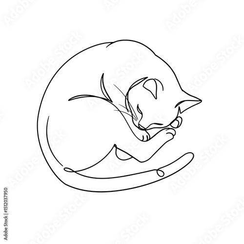 Vector illustration of a sleeping cat in a curled position with line art style and copy space