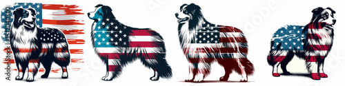 Australian Shepherd Dog. 4th of July Independence Day American Flag Patriotism Usa America Clipart Vector Illustration. Herding canine companion intelligent energetic pet breed for active.