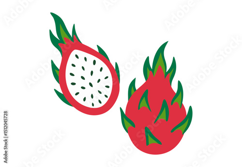 vector illustration of dragon fruit 