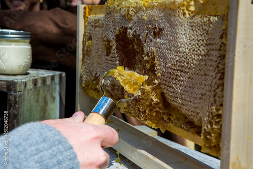 Person using a honeycomb scraper to get honey 
