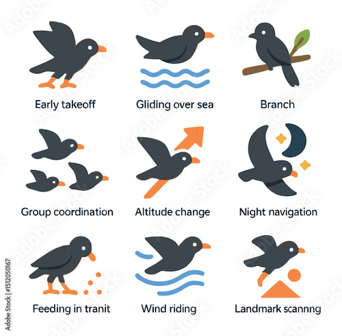 Bird Migration Icons. Flat icon set of migration behaviors: early takeoff, gliding over sea, resting on branch