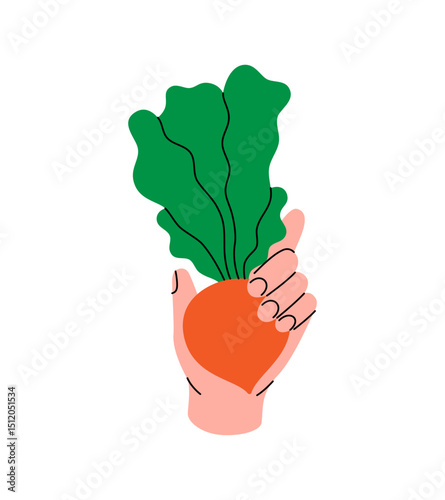 Hand holding a fresh beetroot. Healthy eating, vegan food and organic lifestyle concept. Natural farm vegetable. Vector illustration.