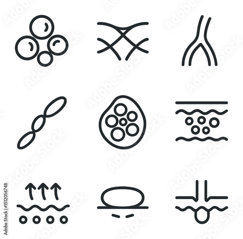 Hypodermis Icons Grid. Outline icon set of hypodermis features: adipocyte cluster, connective tissue, blood vessel, lymphatic