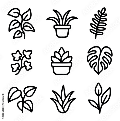 Indoor Plant Icons. Outline icon set of indoor plant varieties: pothos vine, spider plant, fern leaf, trailing ivy, succulent pot,