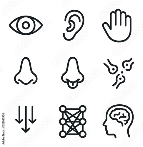Multisensory Integration Icons. Outline icon set of multisensory integration research: eye icon, ear icon, hand icon, nose icon,