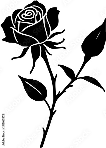 rose vector illustration