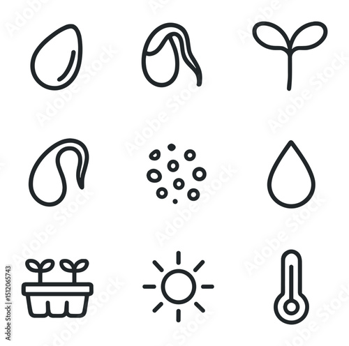 Seed Germination Icons. Outline icon set of seed germination stages: seed coat, radicle sprout, cotyledon leaves, hypocotyl curve,