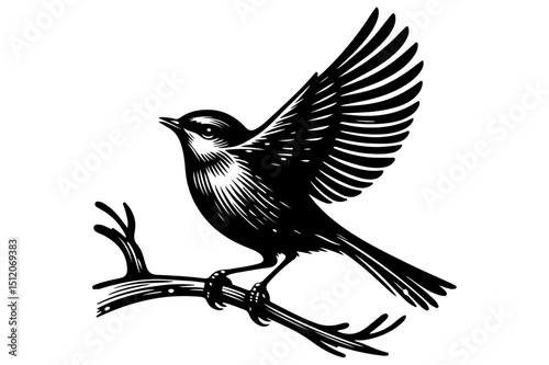 "Vintage Bird on Branch Vector – Retro Style Line Art Bird Illustration"

