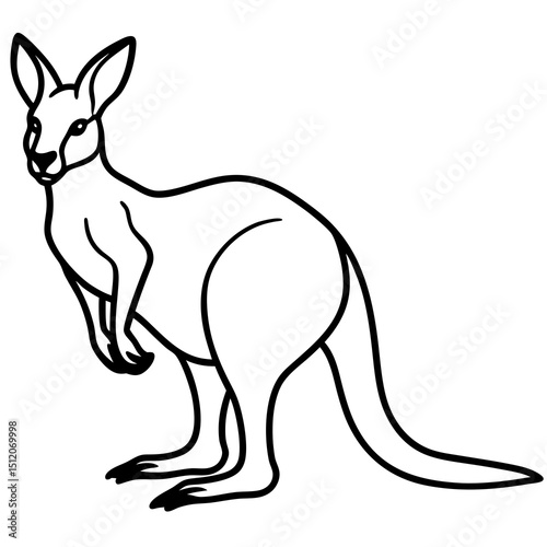 Modern Kangaroo Line Drawing