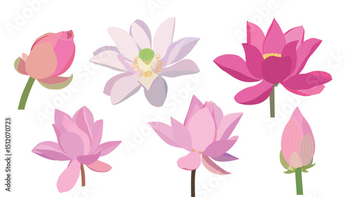 A set of colorful, isolated illustrations of lotus flowers and buds.