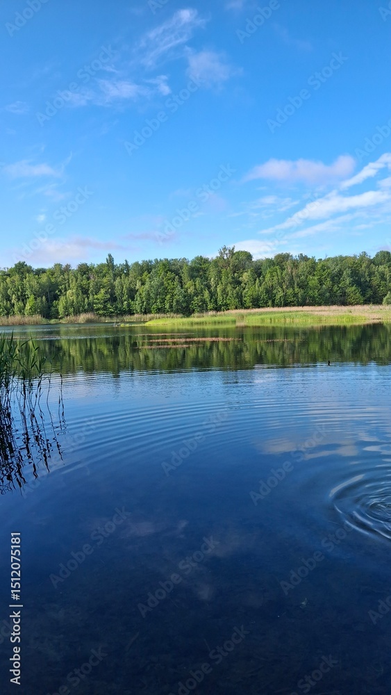 Obraz premium Tranquil lake scene with clear blue water, green reeds, and a lush forest under a bright sky. Perfect nature landscape for relaxation, travel, or outdoor themes.