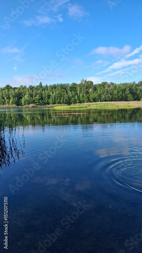 Tranquil lake scene with clear blue water, green reeds, and a lush forest under a bright sky. Perfect nature landscape for relaxation, travel, or outdoor themes.