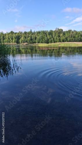 Tranquil lake scene with clear blue water, green reeds, and a lush forest under a bright sky. Perfect nature landscape for relaxation, travel, or outdoor themes.