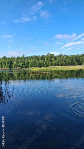 Tranquil lake scene with clear blue water, green reeds, and a lush forest under a bright sky. Perfect nature landscape for relaxation, travel, or outdoor themes.