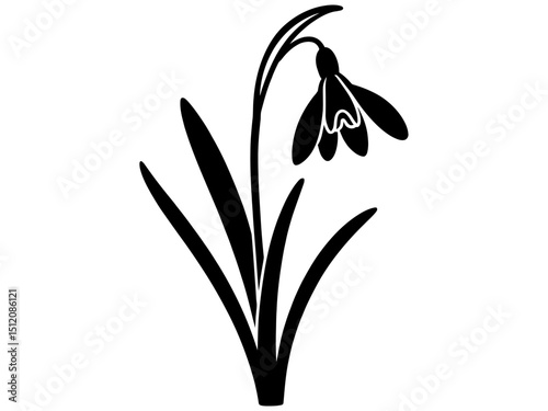 Elegant Minimalist Black Silhouette Snowdrop Flower Illustration