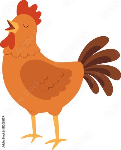 Chicken Illustration