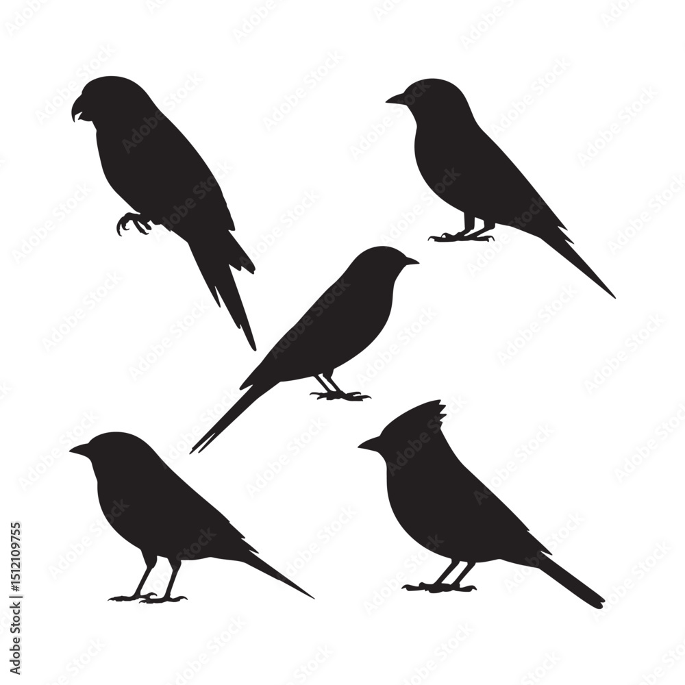 Obraz premium Black Silhouette of Songbirds on White Background Sparrow Finch Canary Cardinal Vector Graphic Illustration