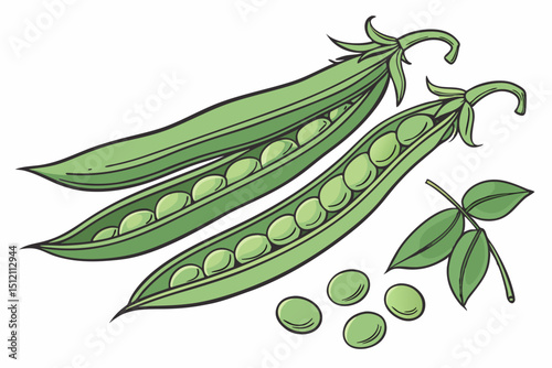 Vector Fresh green peas in pods with leaves and seeds, showcasing vibrant colors and natural beauty
